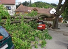 Kwikfynd Tree Cutting Services
tweedheadsnsw